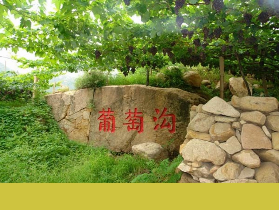 葡萄沟 (3)_第1页