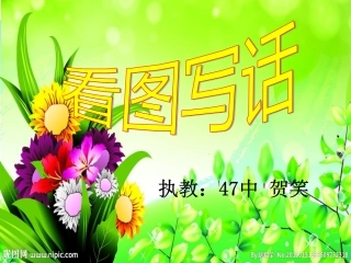 看图写话定稿