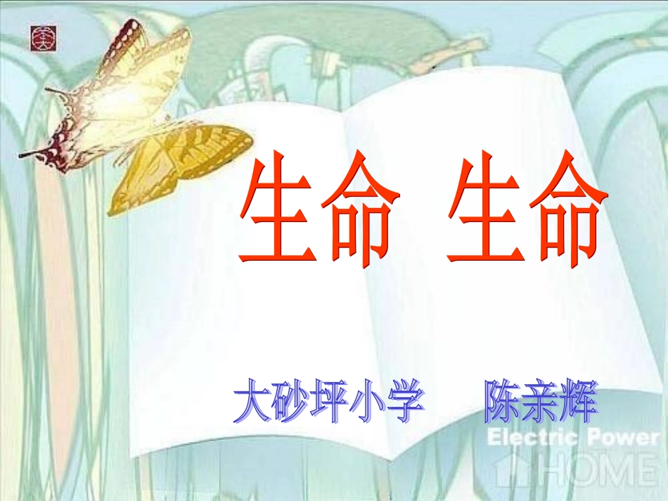 《生命生命》辉辉_第1页