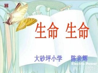 《生命生命》辉辉