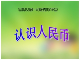 人命币的认识第二课时