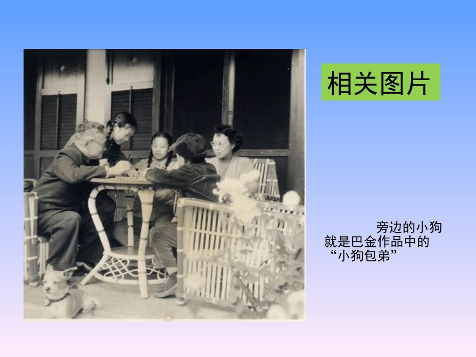 2010《小狗包弟》PPT课件_第3页