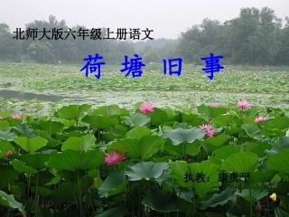六年级语文上册《荷塘旧事》第一课时课件