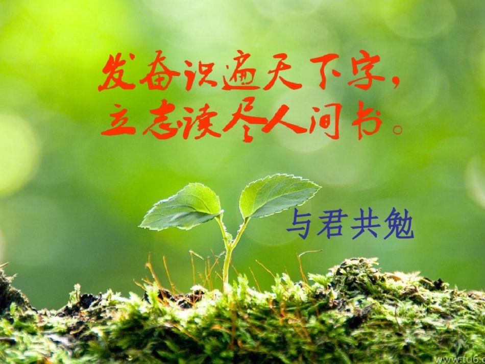 诗词对比赏析_第1页