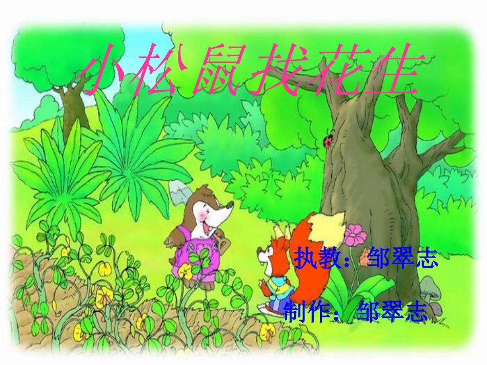 小松鼠找花生PPT课件邹翠志_第1页