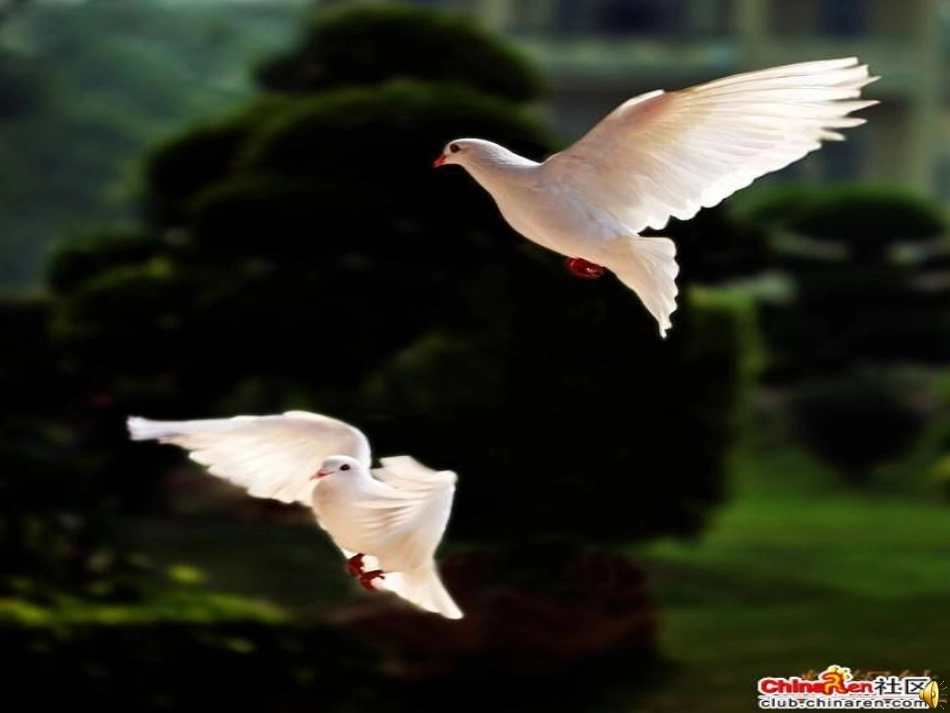 学前班课外阅读_第3页