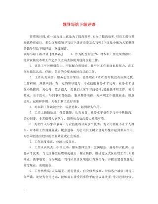 领导写给下级评语 