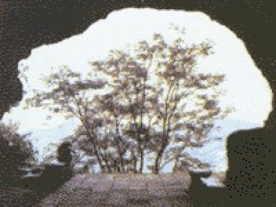 记金华的双龙洞 (2)_第3页