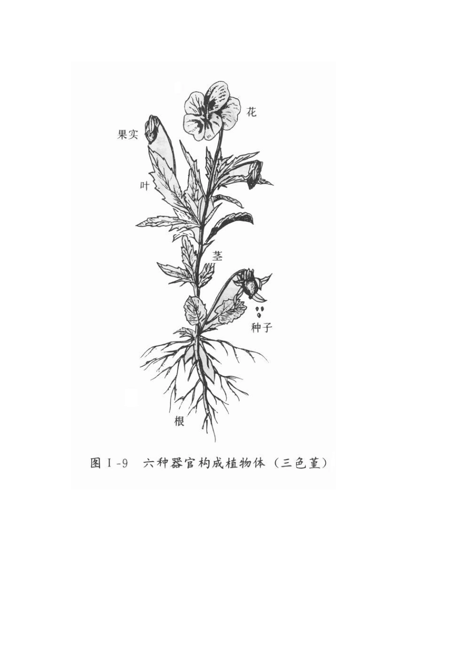 生命科学基础知识_第2页