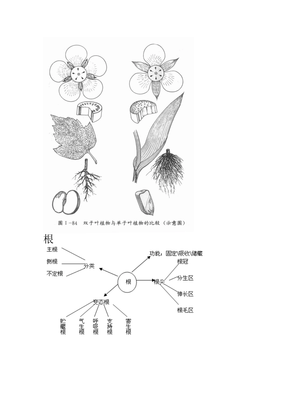 生命科学基础知识_第3页