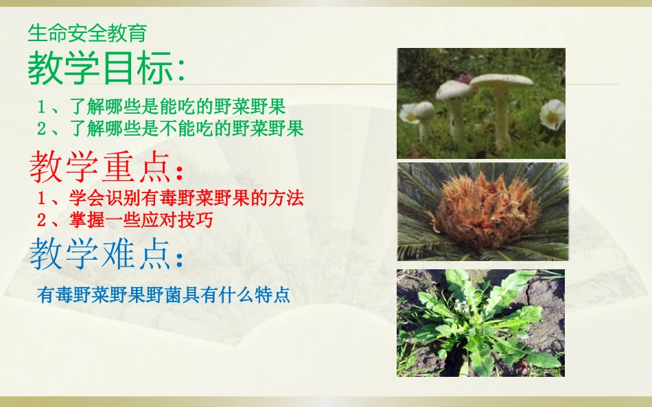 野菜野果莫乱吃_第2页