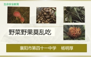 野菜野果莫乱吃