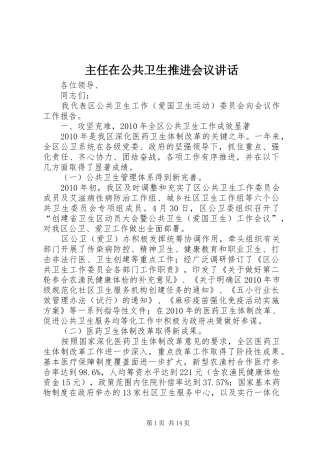 主任在公共卫生推进会议讲话发言