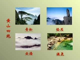 黄山奇松课件 (2)