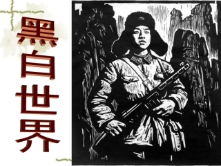 黑白世界第一课时 (2)