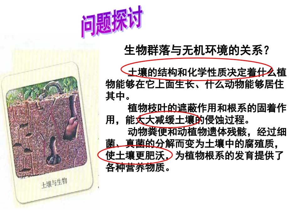 人教版必修三第5章第1节生态系统的结构（共50张PPT）_第2页