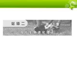 必修二第十三章现代生物进化理论