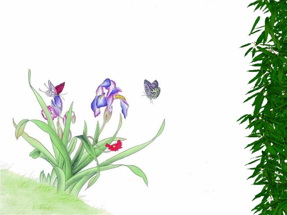 《养花》课件[1]_第3页