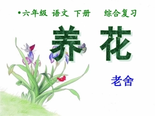《养花》课件[1]