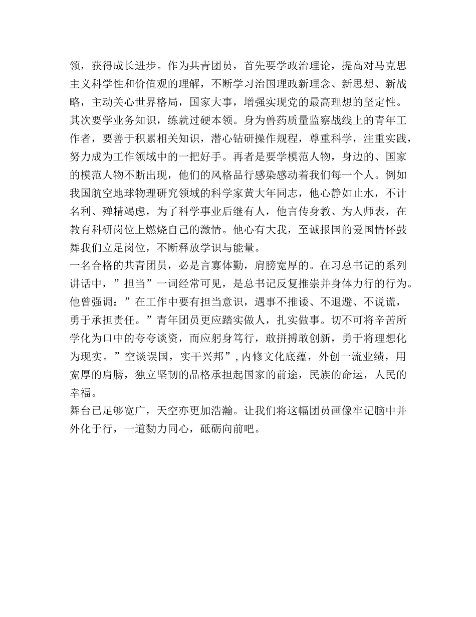 共青团员一学一做学习心得 _第2页