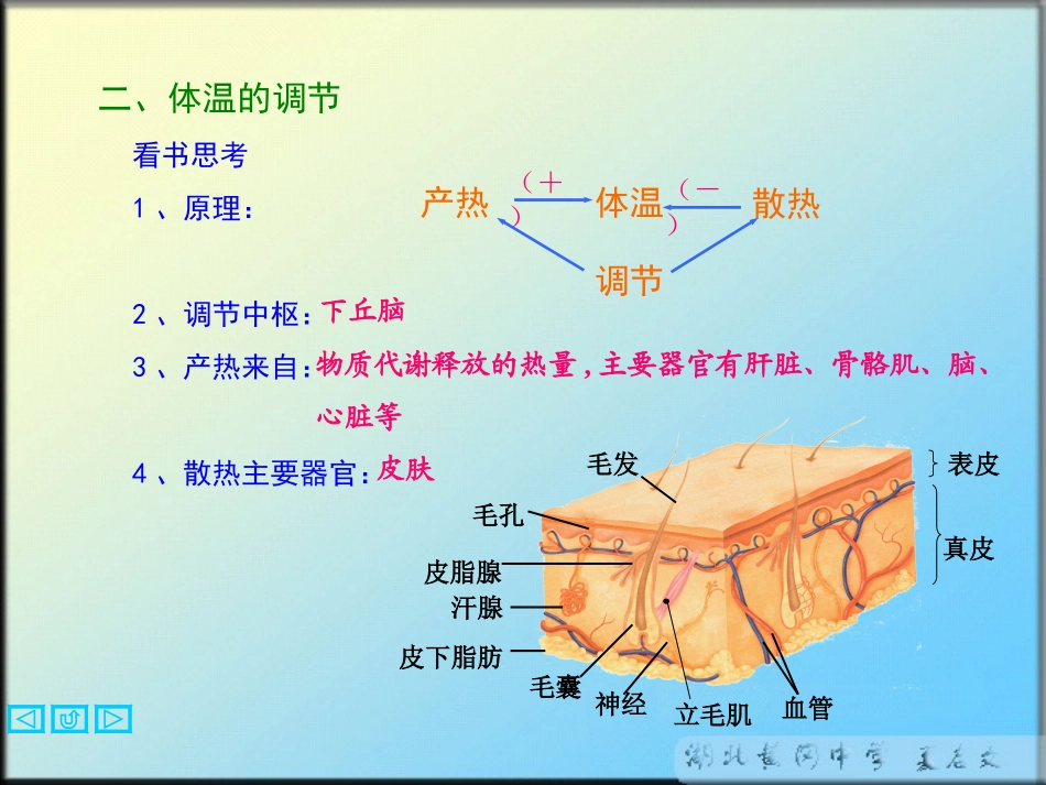 人的体温调节_第2页