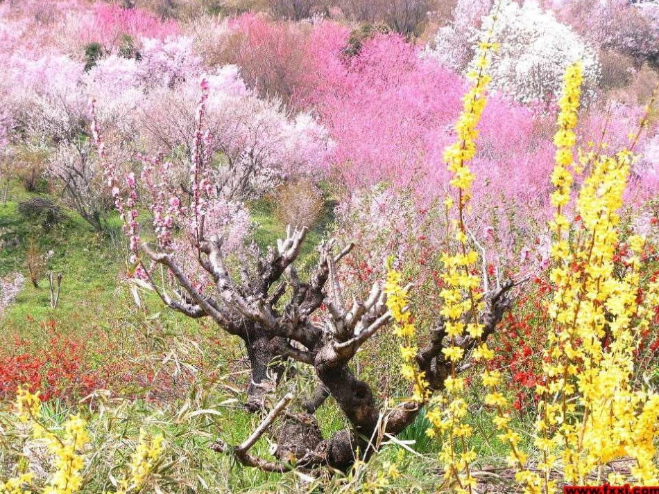 小熊住山洞PPT_第3页