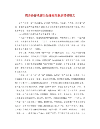 亮身份作承诺当先锋树形象承诺书范文