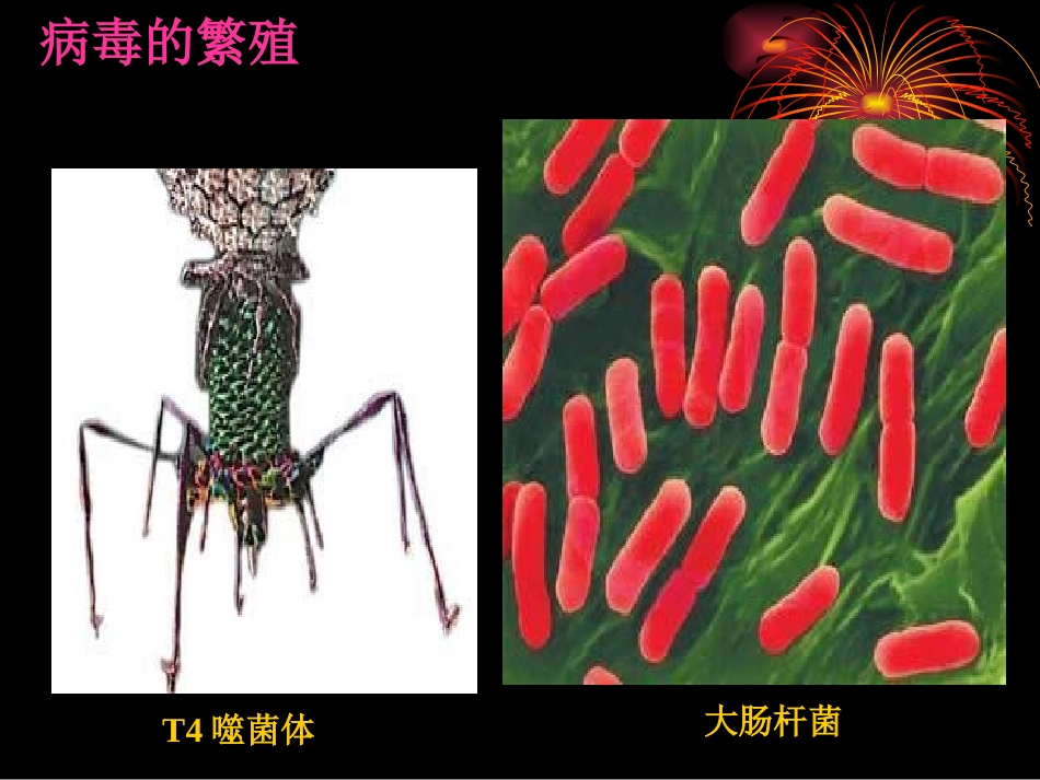 江山中学优秀作品_第3页