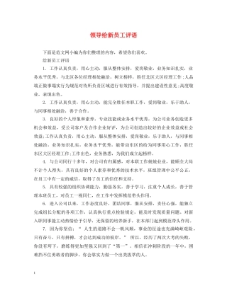 领导给新员工评语 