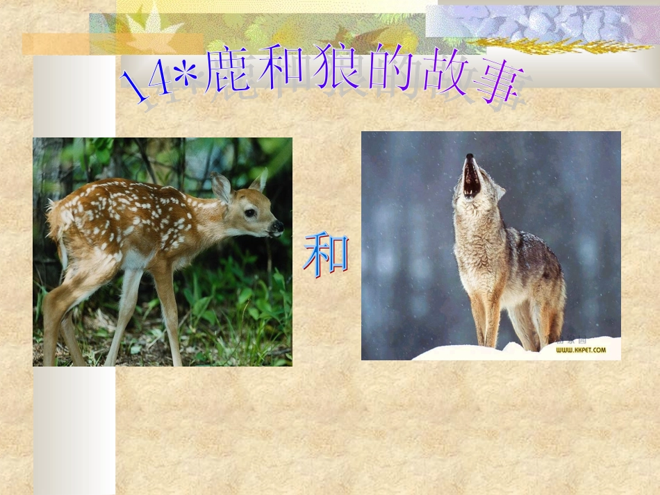 2014年秋人教版六年级上册语文鹿和狼的故事PPT课件_第1页
