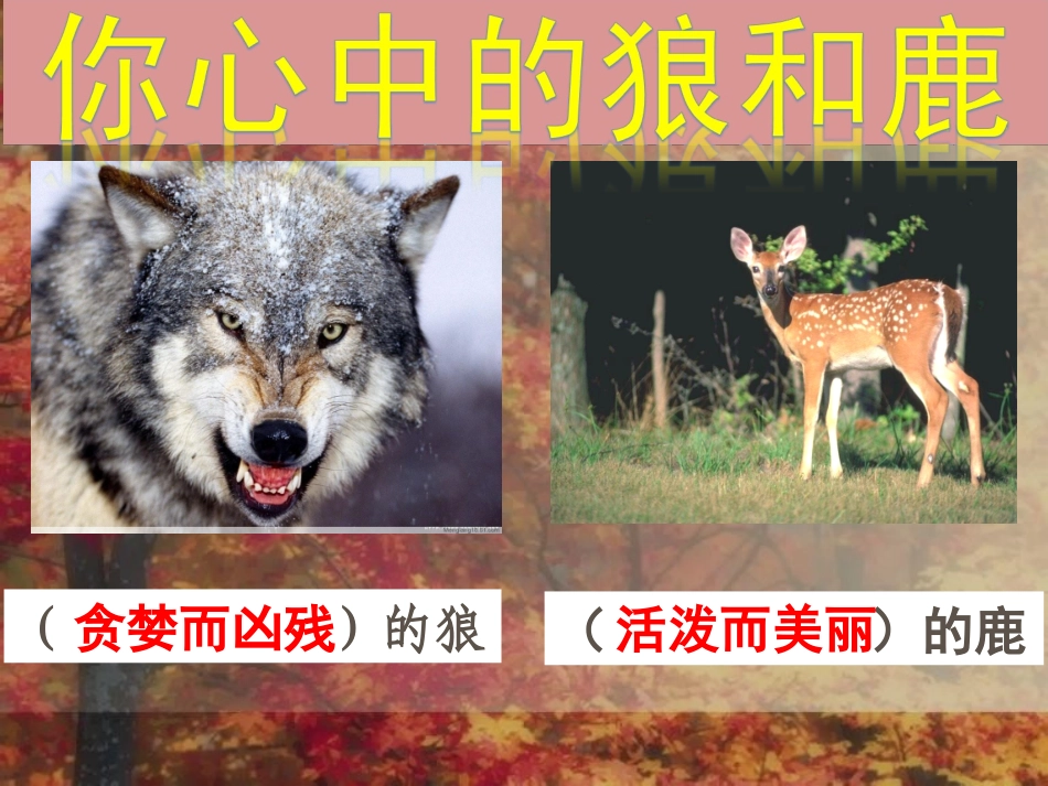 2014年秋人教版六年级上册语文鹿和狼的故事PPT课件_第2页