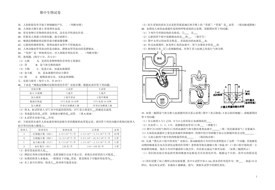 七年级期中试卷打印版_第2页
