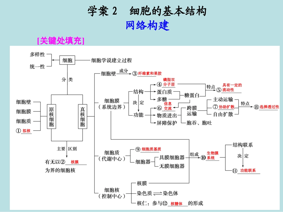 生物专题一学案2_第1页