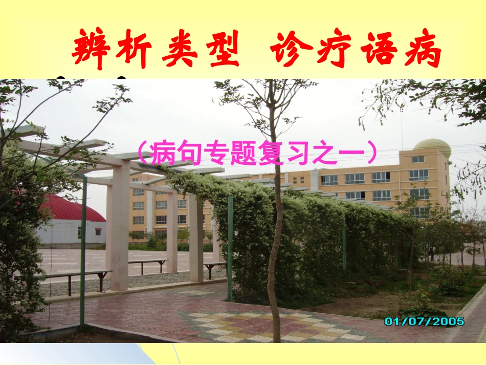 辨析类型诊疗语病（第一讲）_第1页