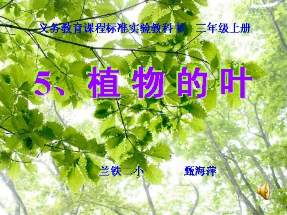 《植物的叶》课件1_第2页