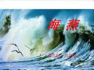 《海燕》课件PPT