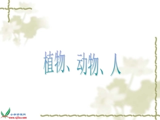 《植物、动物、人》课件