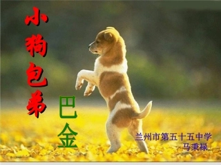 小狗包弟课件(人教版必修1)(1)-1