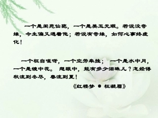 《林黛玉进贾府》课件(新人教版必修3)