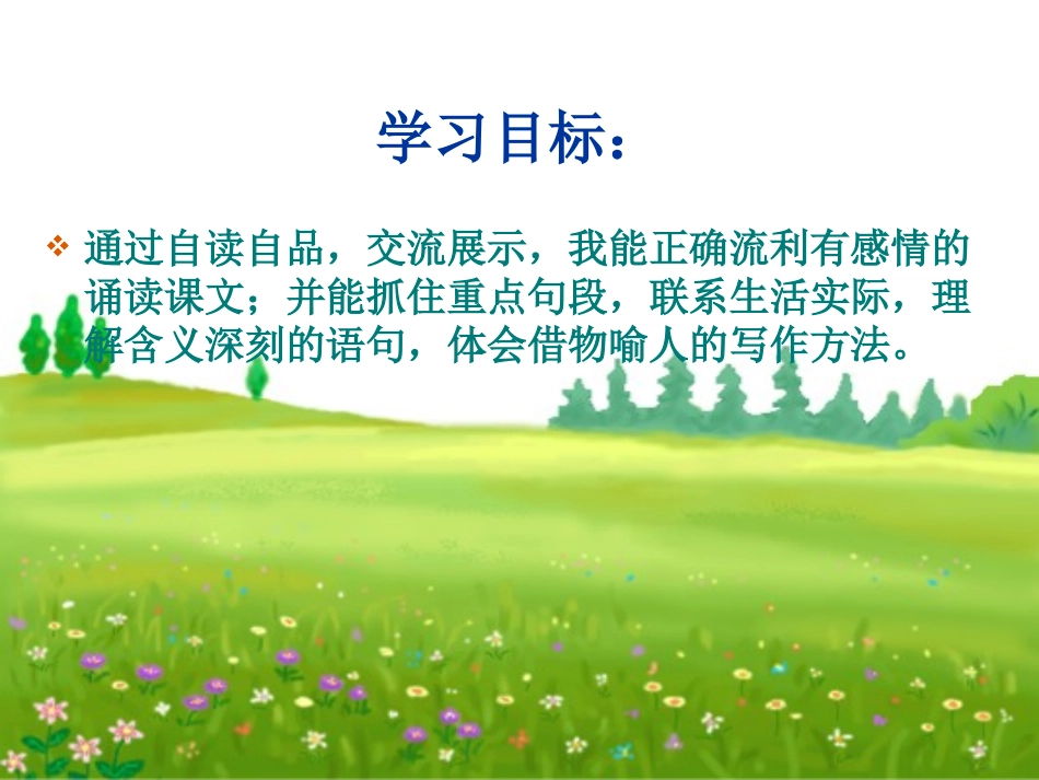 《桃花心木》第二课时课件_第2页