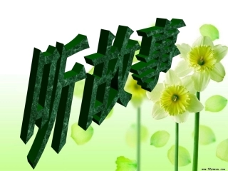《知礼仪，我最美》主题班会