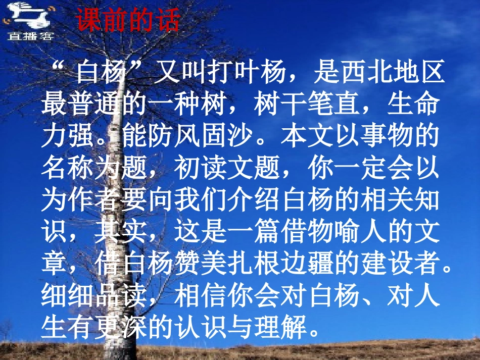 人教版五年级语文下册《白杨》课件[1]_第2页