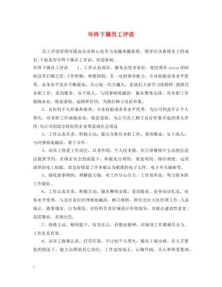 年终下属员工评语 