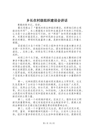 乡长在村级组织建设会讲话发言