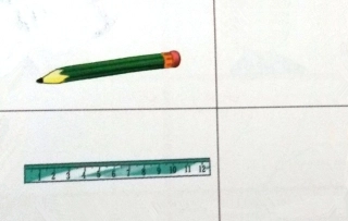 数学活动：比长短