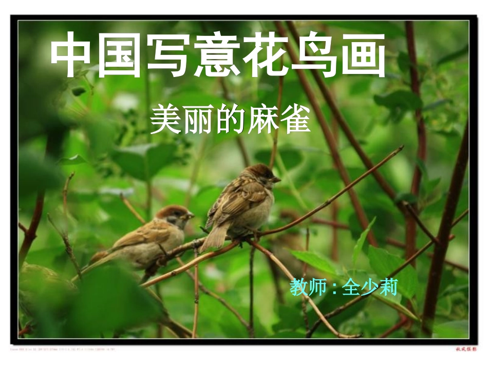 中国写意花鸟画_第1页