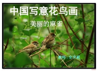中国写意花鸟画