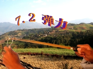 《弹力》课件3