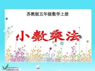 (苏教版)五年级数学上册课件_小数乘法_1
