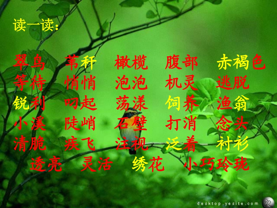 人教版三年级语文_5《翠鸟》课件_第2页